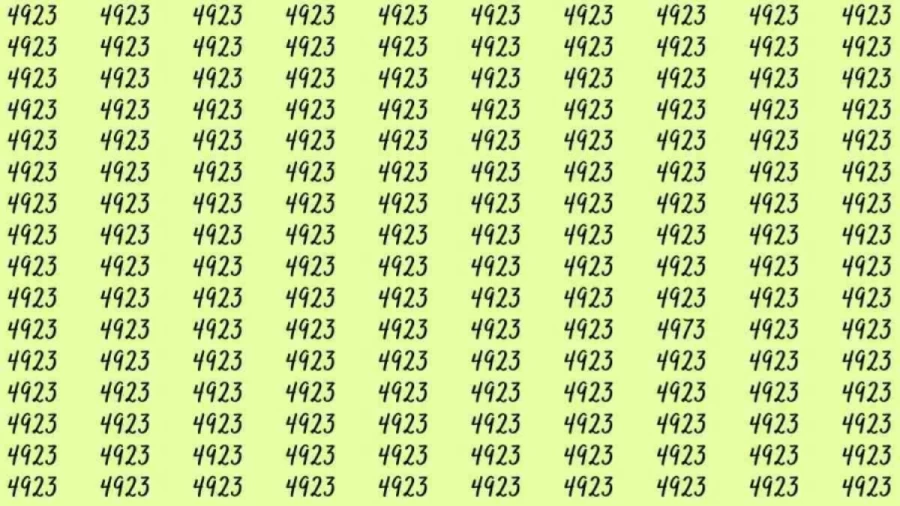 Optical Illusion: If you have hawk eyes find 4973 among 4923 in 10 Seconds?