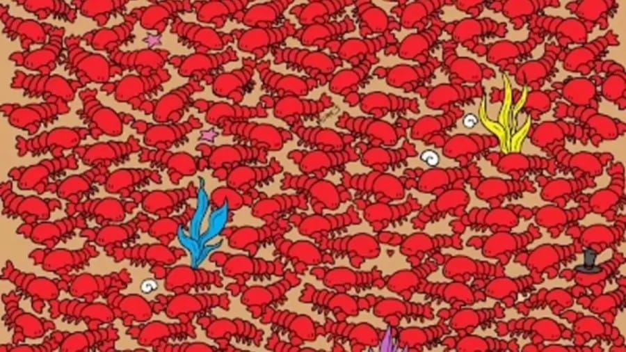 Optical Illusion: Only Hawk Eyes can find the Hidden Four Tiny Crabs among the Lobsters in 20 secs