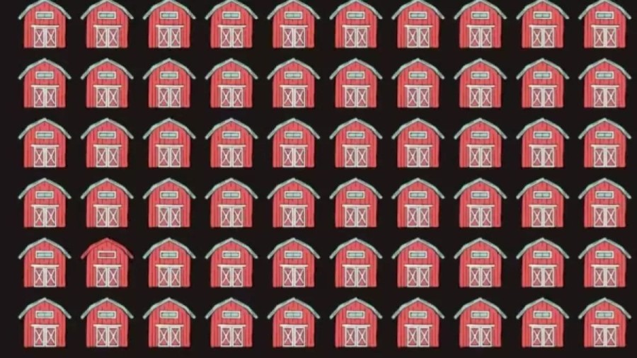 Optical Illusion to test your eyes: Can You Find The Different Barn?