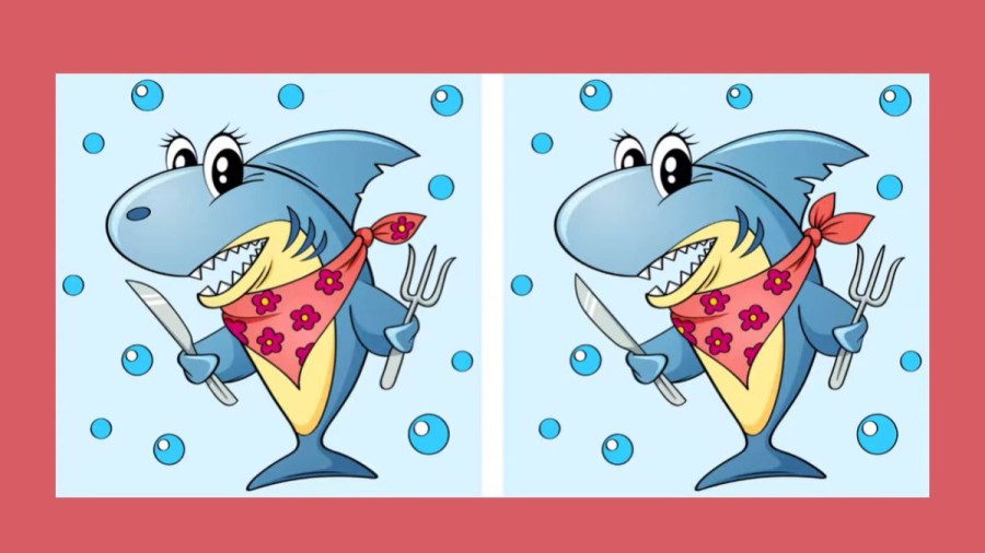 Only extra observant people can spot 3 differences in chef cooking picture pictures in 12 seconds