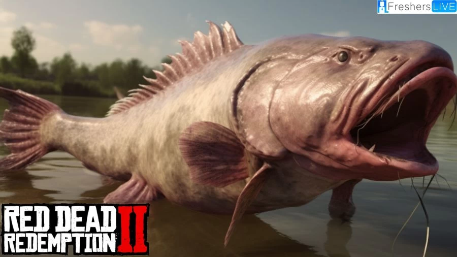 Where To Find Channel Catfish Rdr2? Guide, Location and Wiki