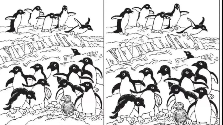 Can You locate a Snake Among the Penguins within 11 Seconds?
