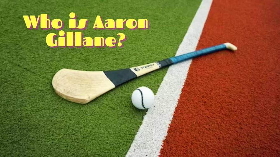 Who is Aaron Gillane? Aaron Gillane Bio, Playing Career, Statistics, Honours
