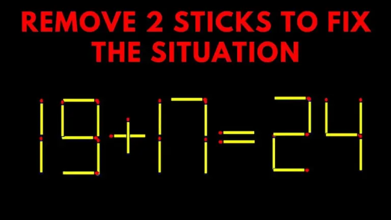 Brain Teaser: 19+17=20 Remove 2 Sticks To Fix The Situation || Brilliant Matchstick Puzzle