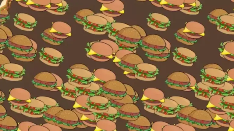 Can You Spot The Sandwich Among These Burgers Within 5 Seconds? Explanation And Solution To The Optical Illusion