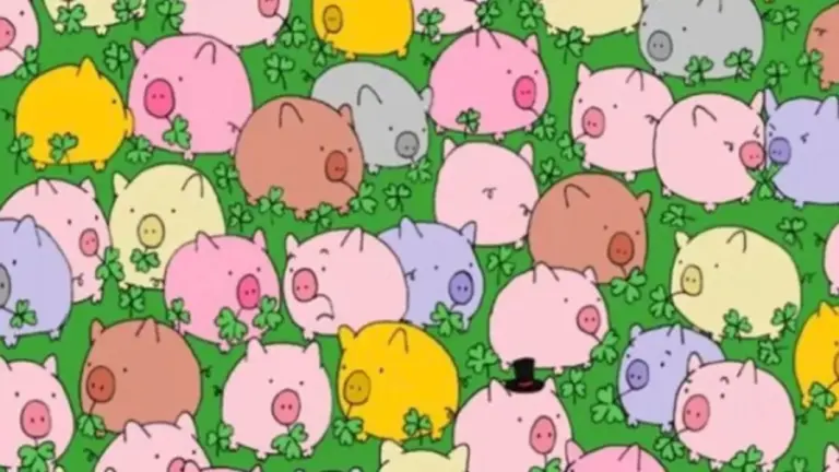 Can You Spot the Four Leaf Clover Among the Pigs? Explanation and Solution to the Optical Illusion