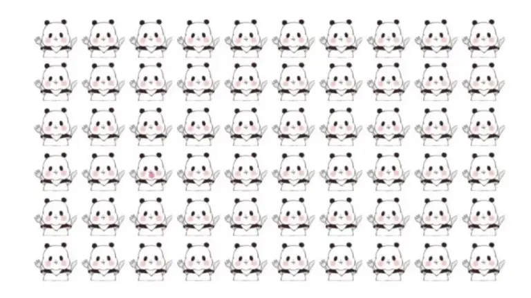 Optical Illusion: Can You Spot the Different Panda in 12 Seconds?