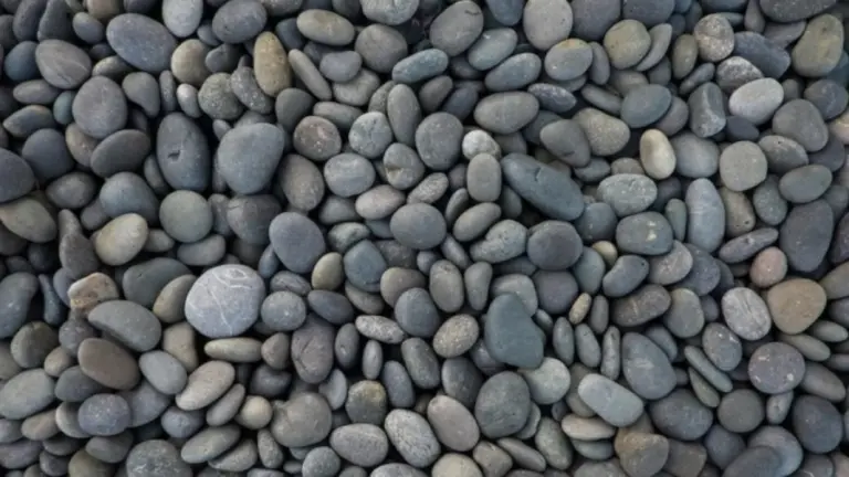 Optical Illusion Eye Test: A Scorpion is Hiding Among the Stones, Can You Spot It?