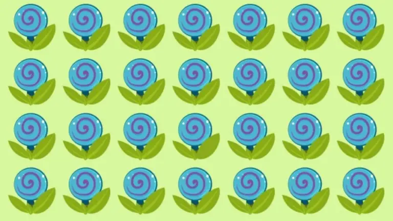 Optical Illusion: Only Genius Can Find the Hidden Candy Among the Blue Flowers within 10 seconds?