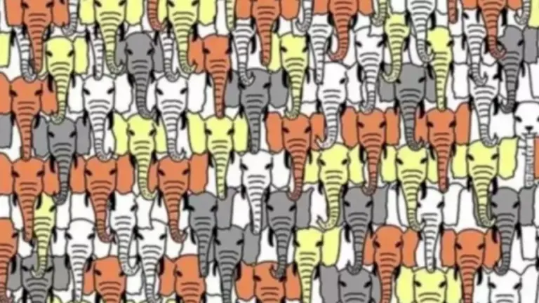 Optical Illusion Panda Search: Can You Find The Hidden Panda Among The Elephants Within 30 Seconds?